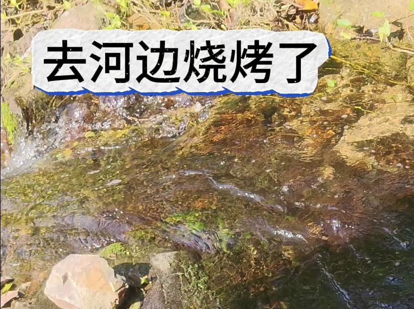 断更原因：手机掉水里了