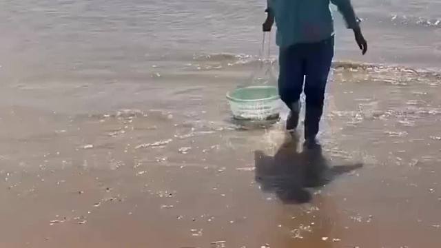 每天都记录我的农村真实生活日常