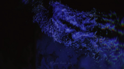 【氛围感Jazz Ballad】最高级的Emo《暗了》/橘猫美梦【过初选歌曲】