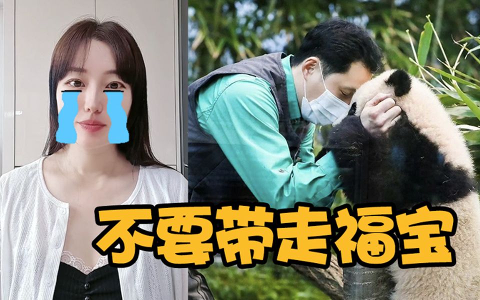 “超级明星”旅韩大熊猫“福宝”回到中国，韩国人深情告白：希望福宝往后熊生只走花路！
