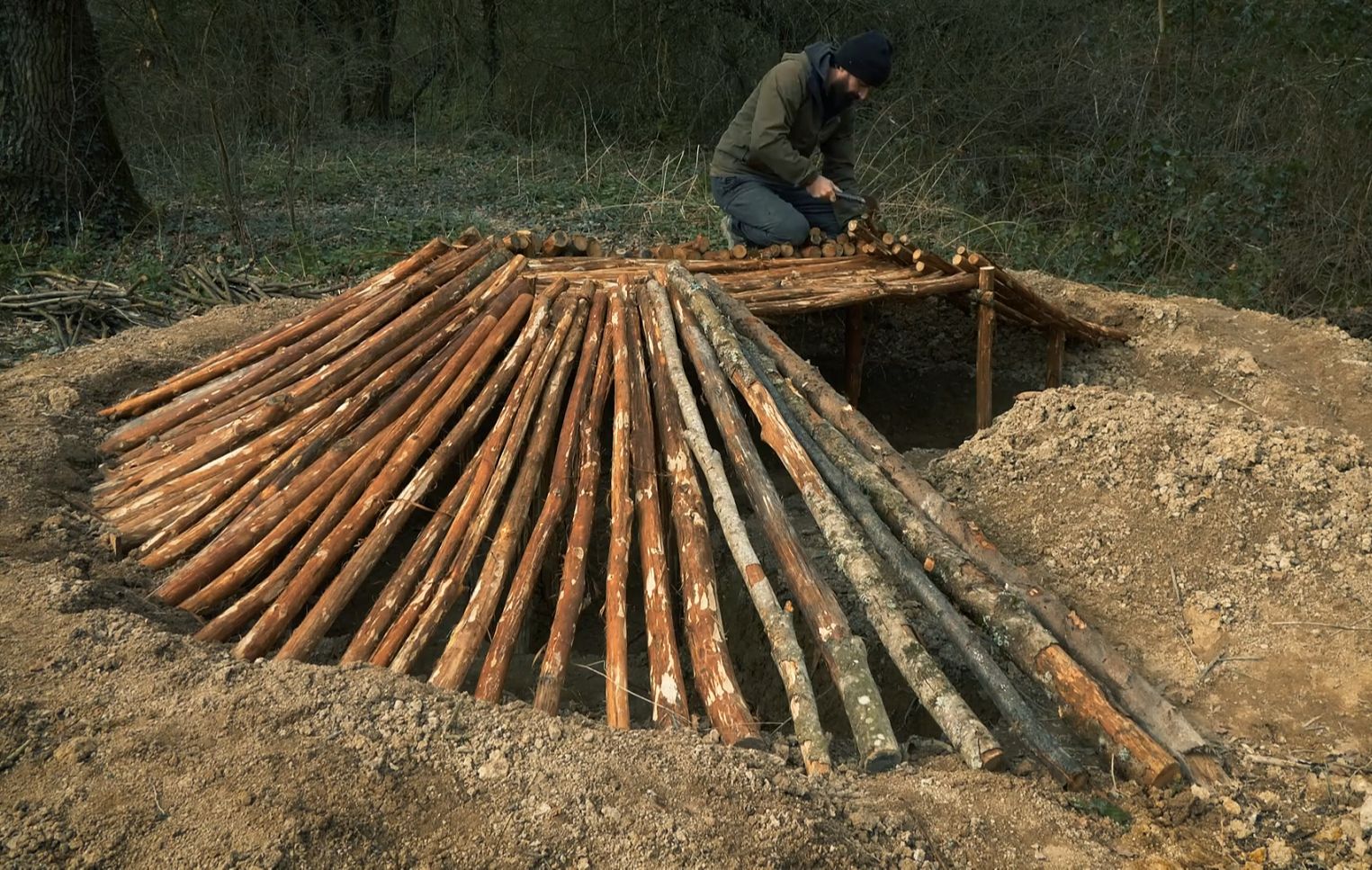 野猪！你们就别想闯进来了，这次我建造出了强大的地下庇护所！