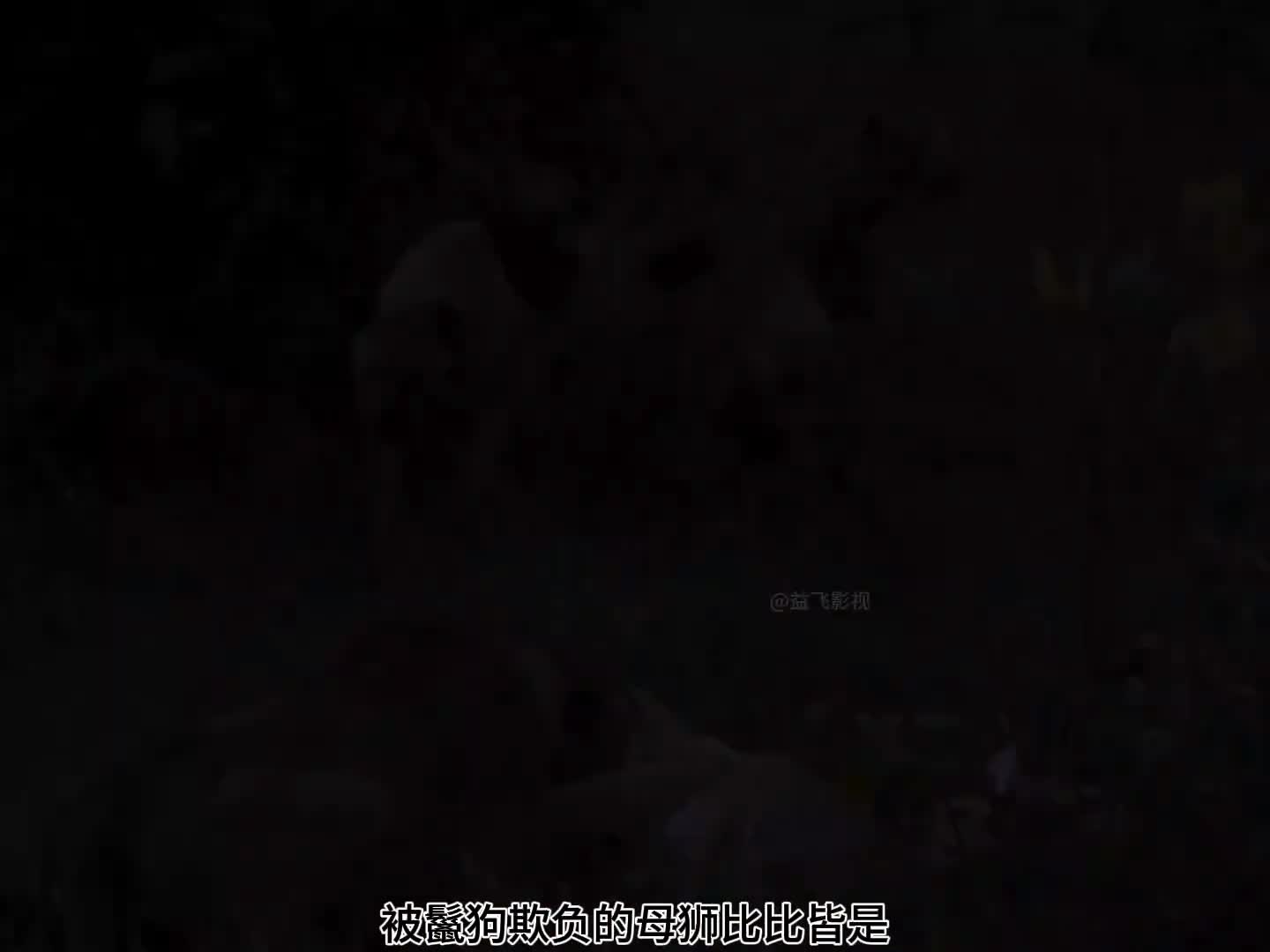 动物世界看人生百态