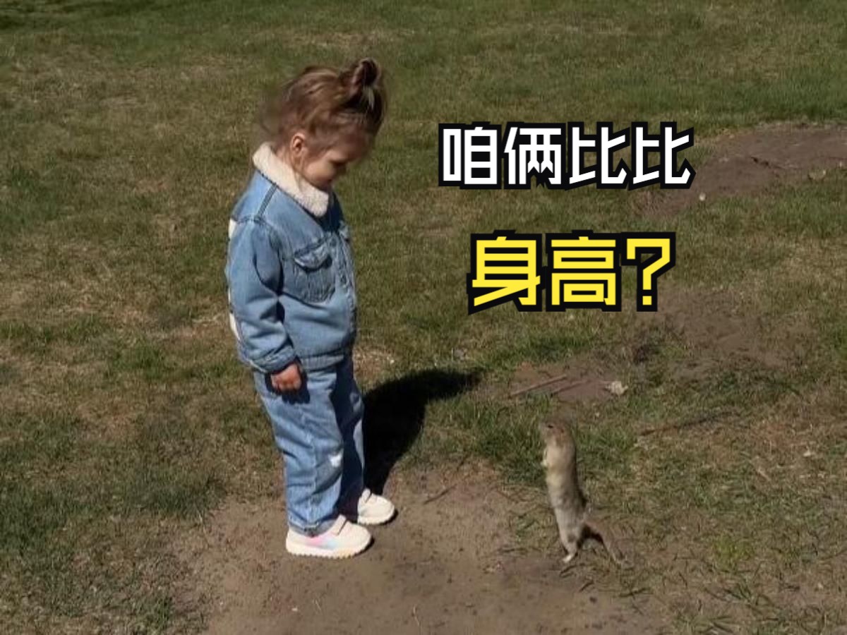 那些美好的动物视频！