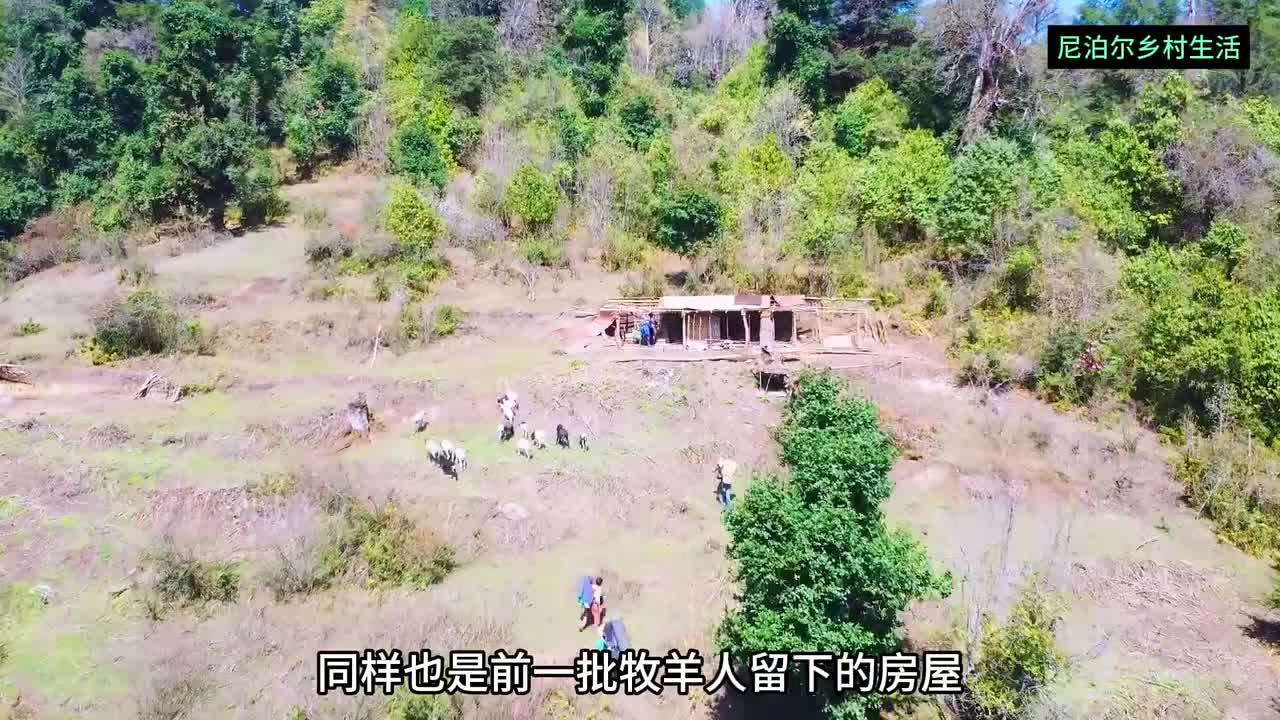 吉娜搬到了新的家，却依然吃着没肉的方便面