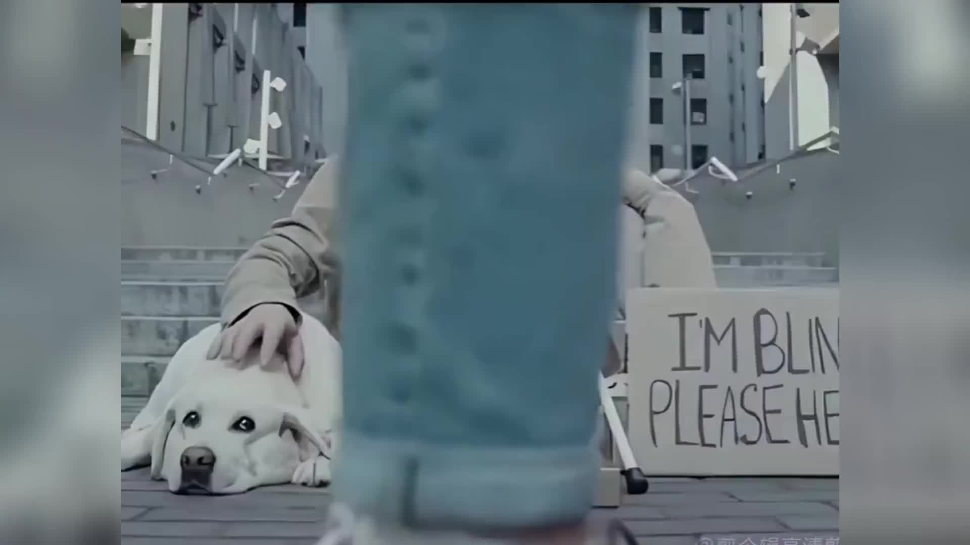 你对别人的善良，最终会回到自己身上，老天自由安排