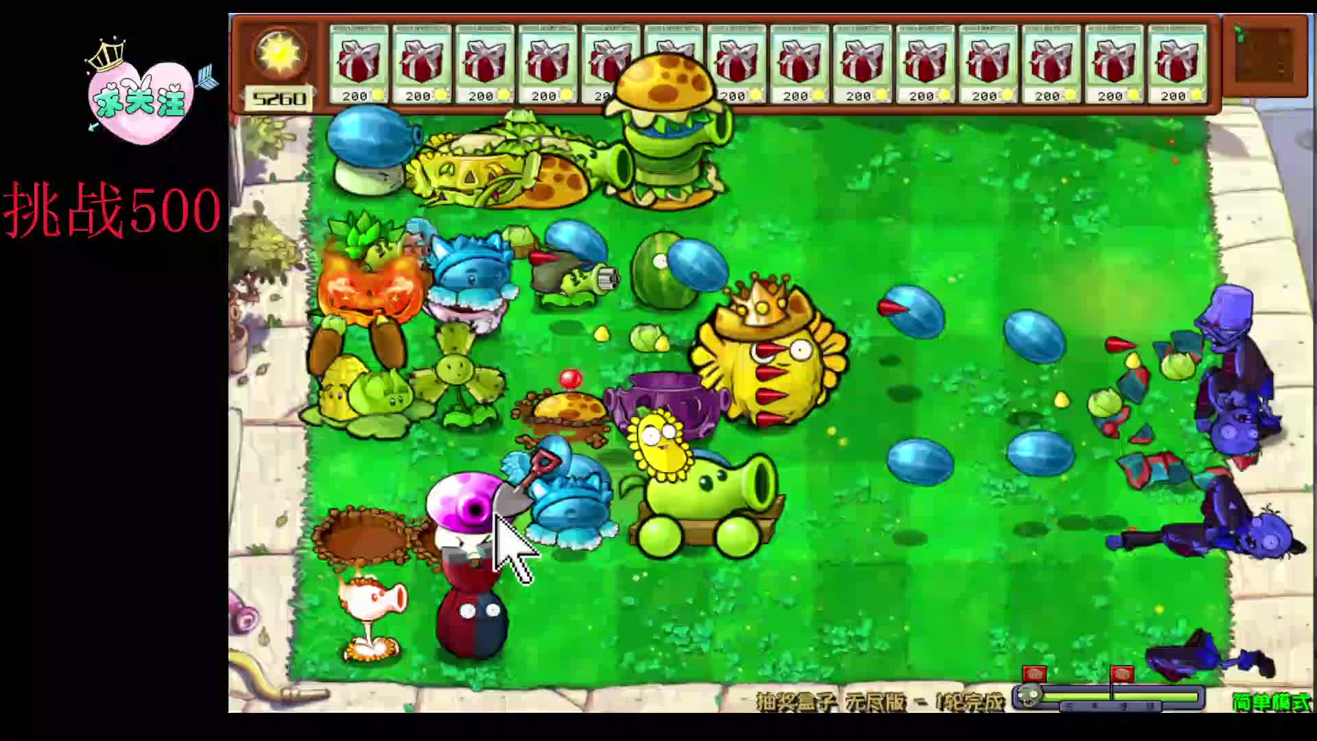 植物杂交，挑战500-片段8