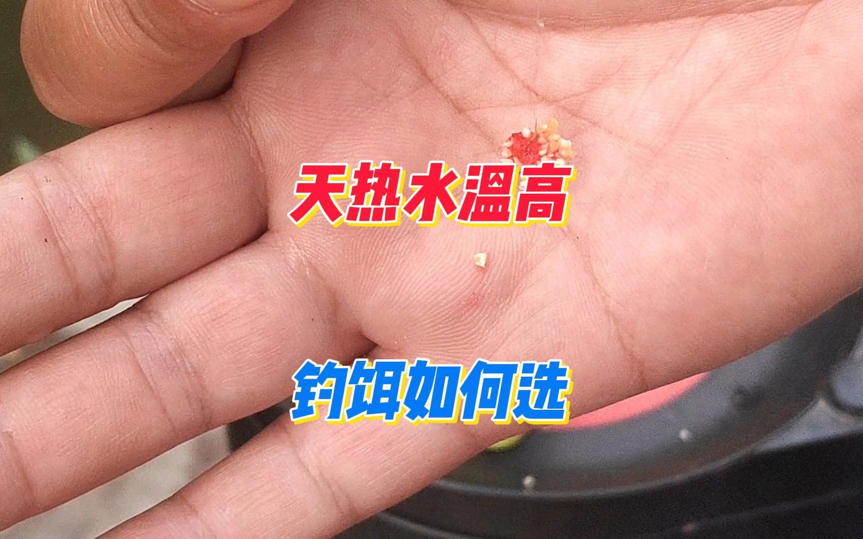 天热水温高，鲫鱼不吃商品饵和蚯蚓咋把？试试雾化少没腥味的钓饵
