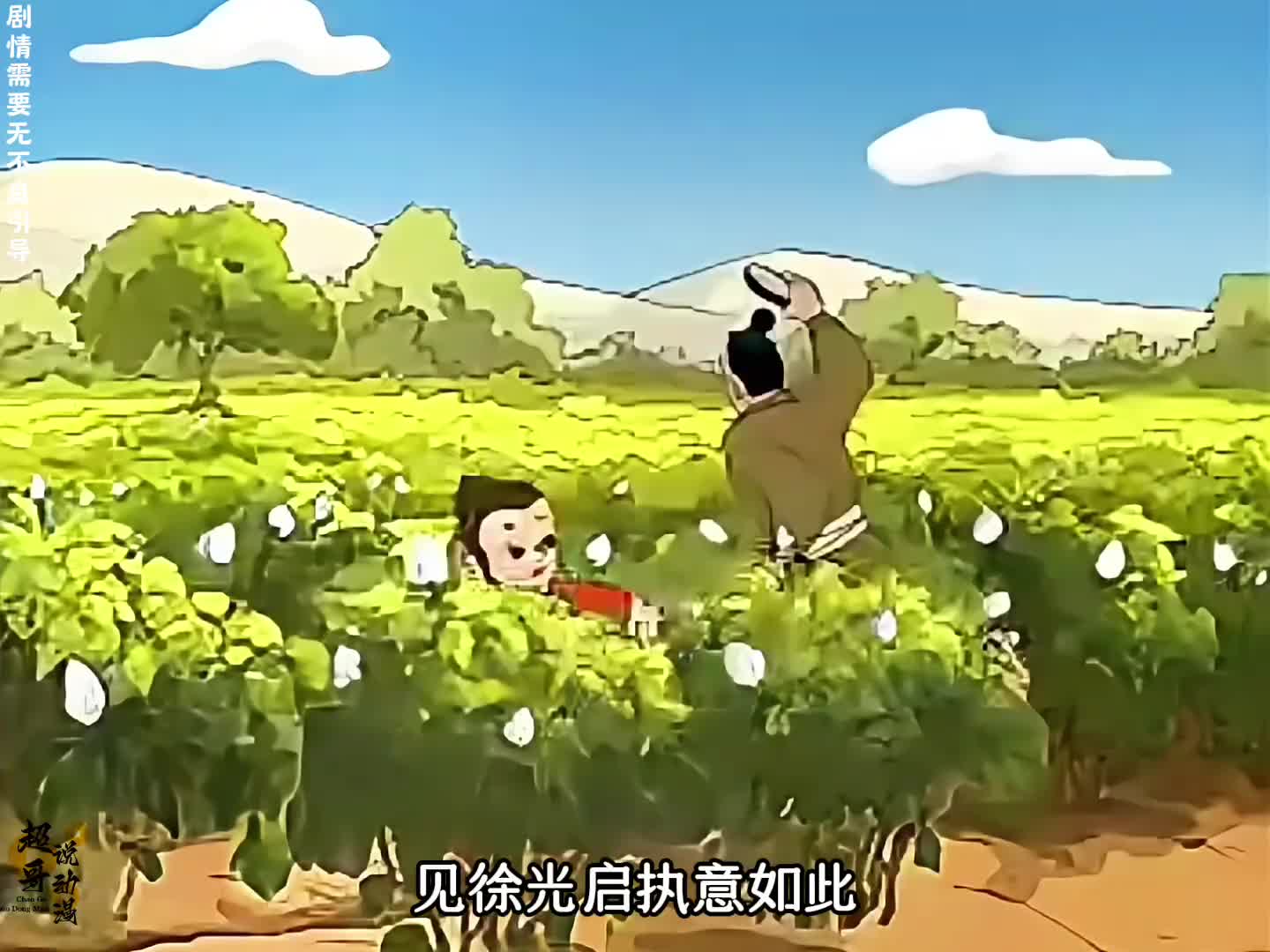 男孩把自家地里的棉桃全摘了，可秋天的时候却迎来了大丰收！_4