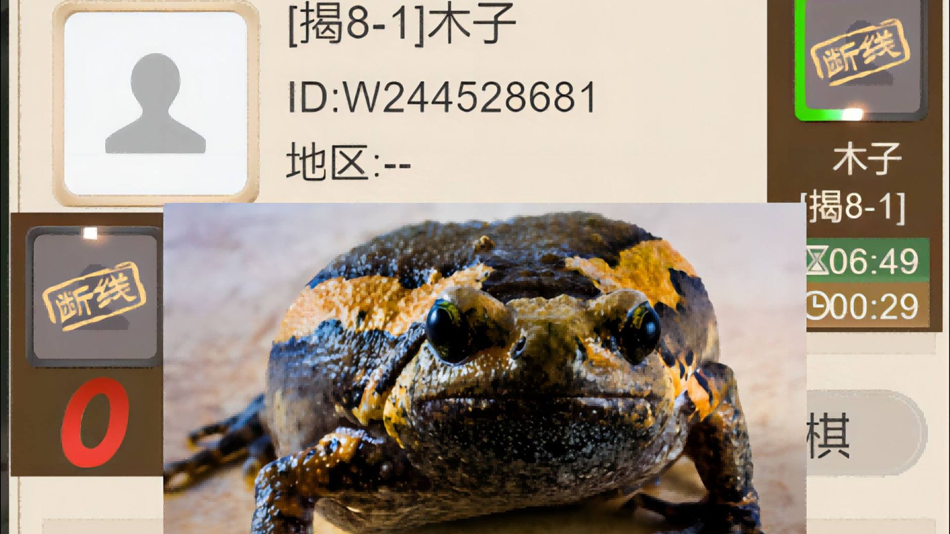 揭棋-断线狗热乎的又来喽. 木子. 干的就是你这种狗