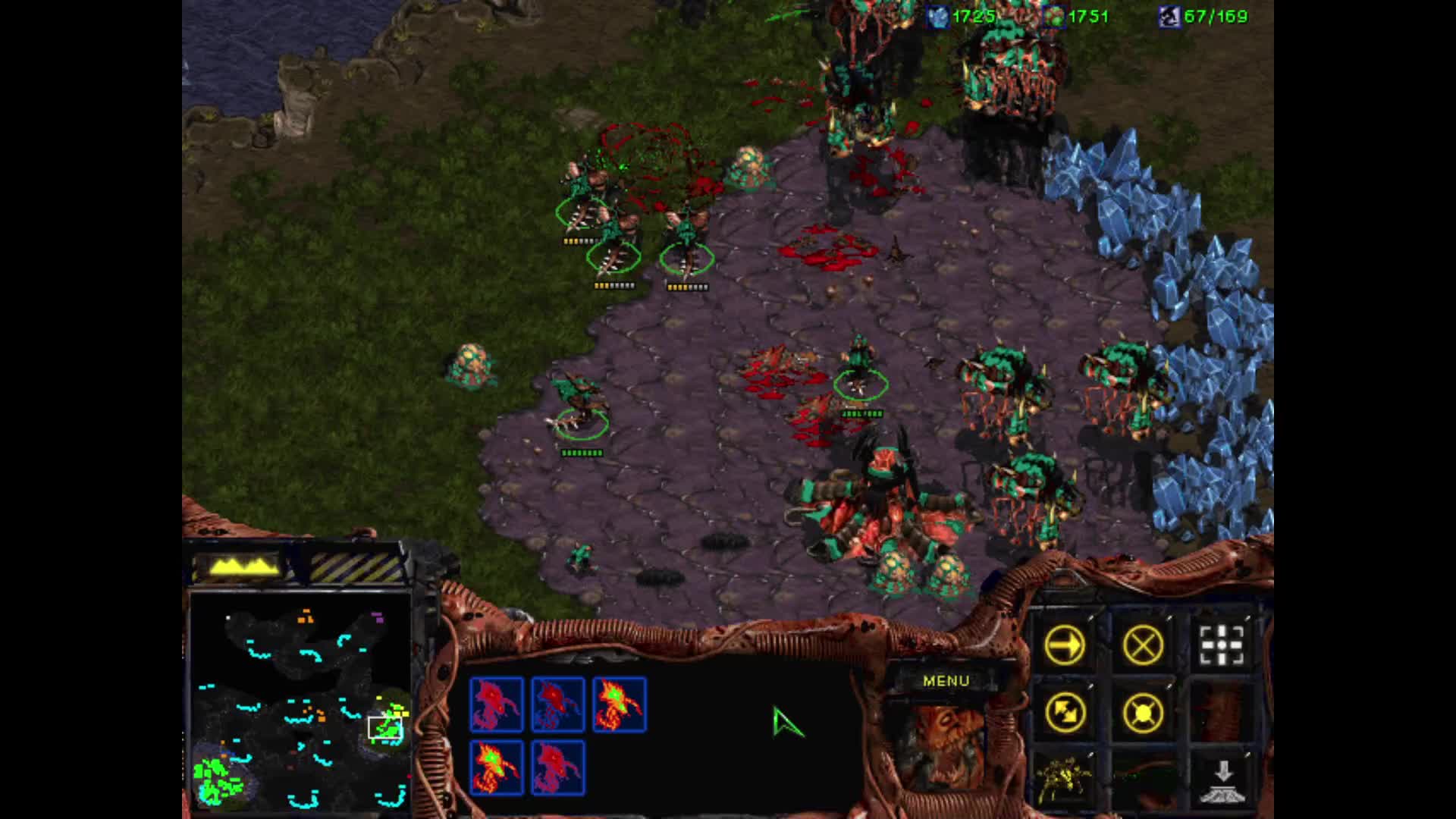 星际1BIG GAME 1V7 虫族乱打