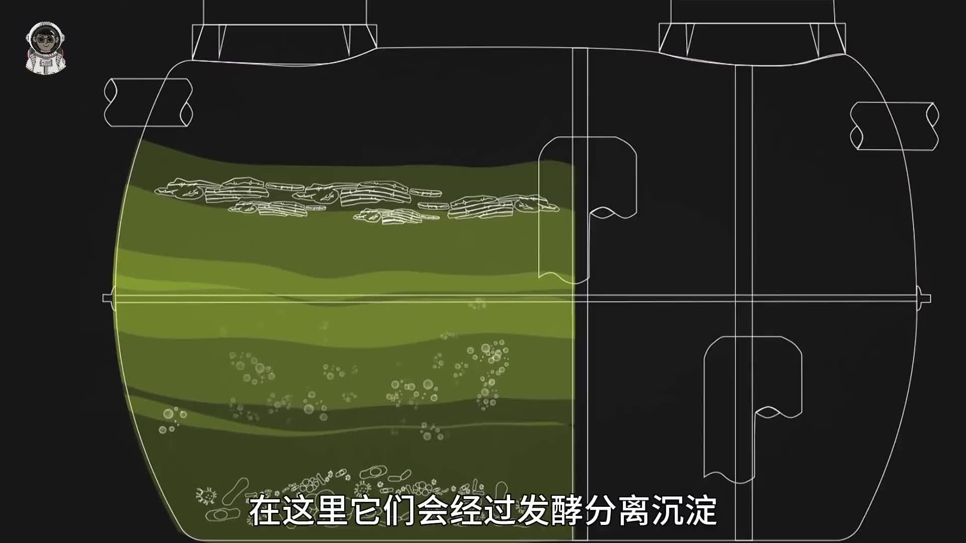 167. 你知道你每天拉的粑粑最后都去哪了吗？结果可能超乎你的想象