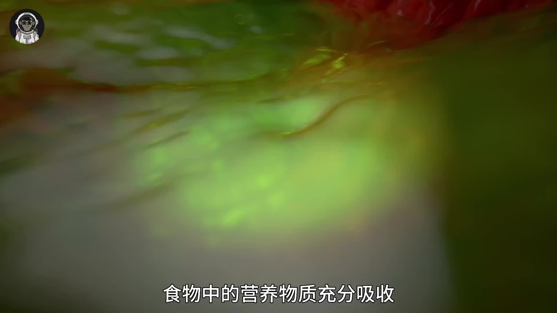 168. 你知道吃进嘴里的食物是如何转化成奥利给的吗？记得饭后观看哦！