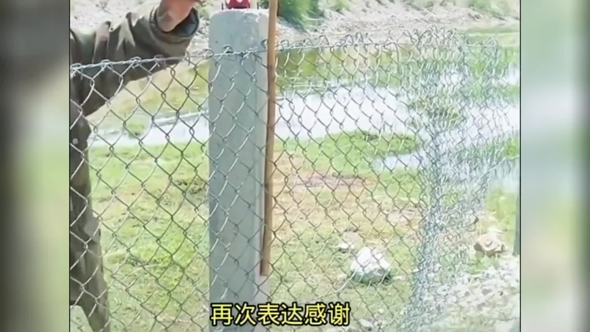 你尽管善良  福报正在路上