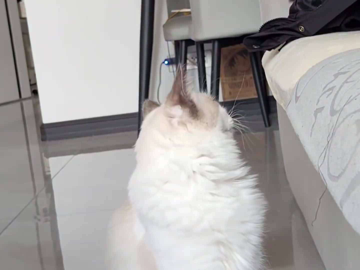 原来这个世界上真的有轮回！