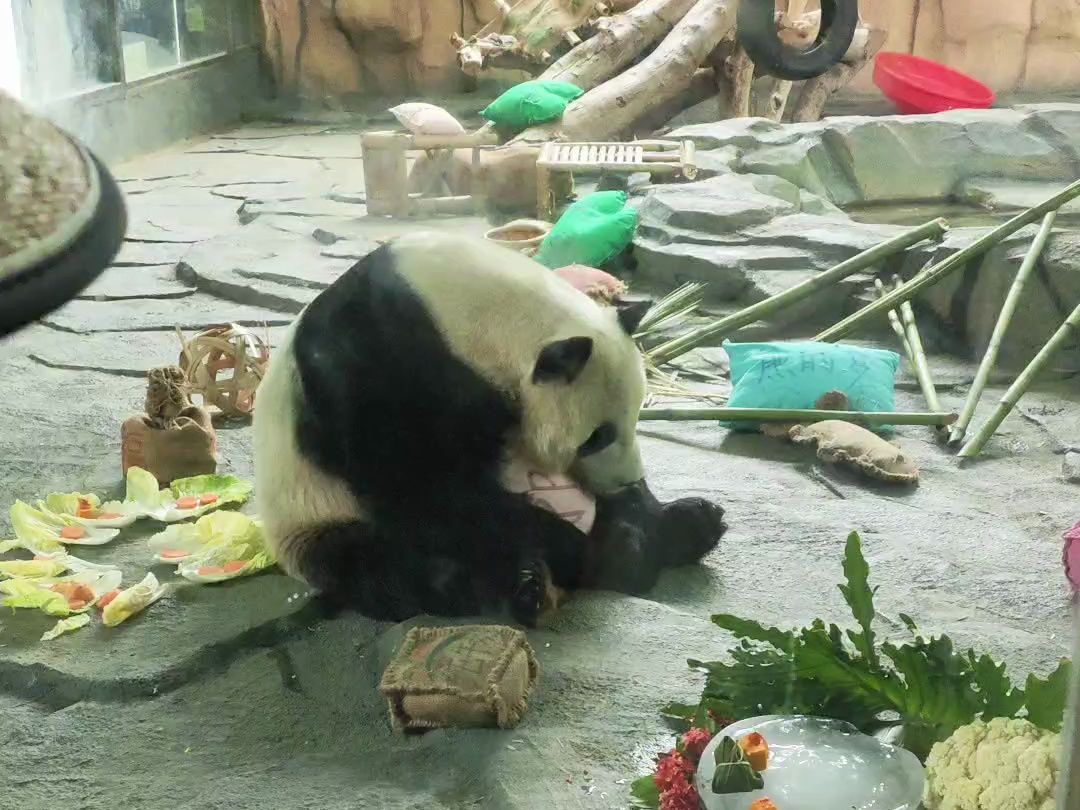 拆抱枕被奶妈发现，一脸委屈巴巴的样子