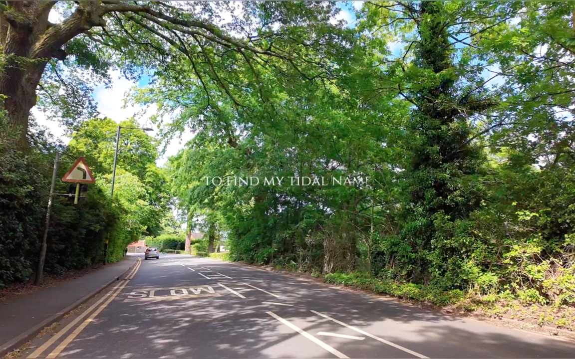 【留学vlog】带你逛英国的夏天