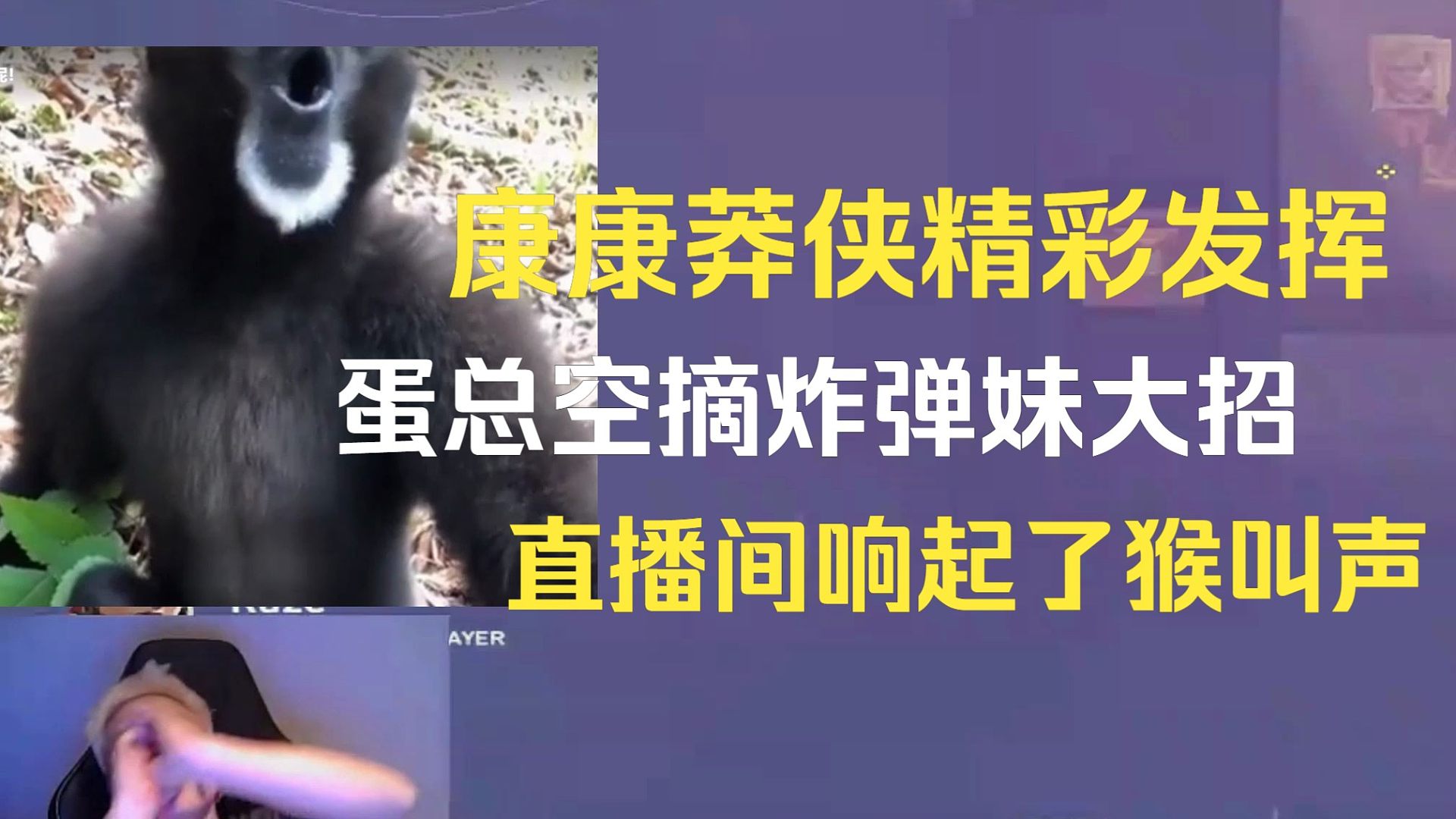 康康莽侠精彩发挥，蛋总空摘炸弹妹大招，和康康疯狂猴叫