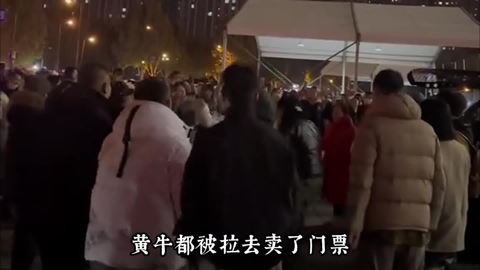 同样是牛，差别怎么这么大呢