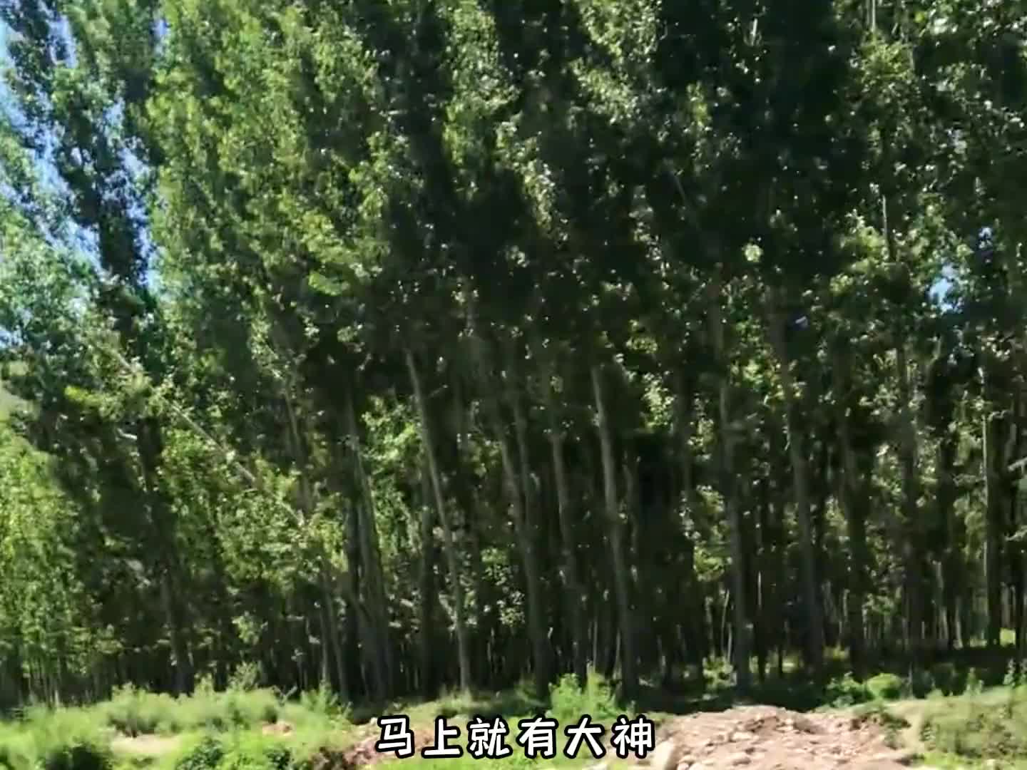 小姐姐自拍竟引来钓鱼佬把鱼钓光