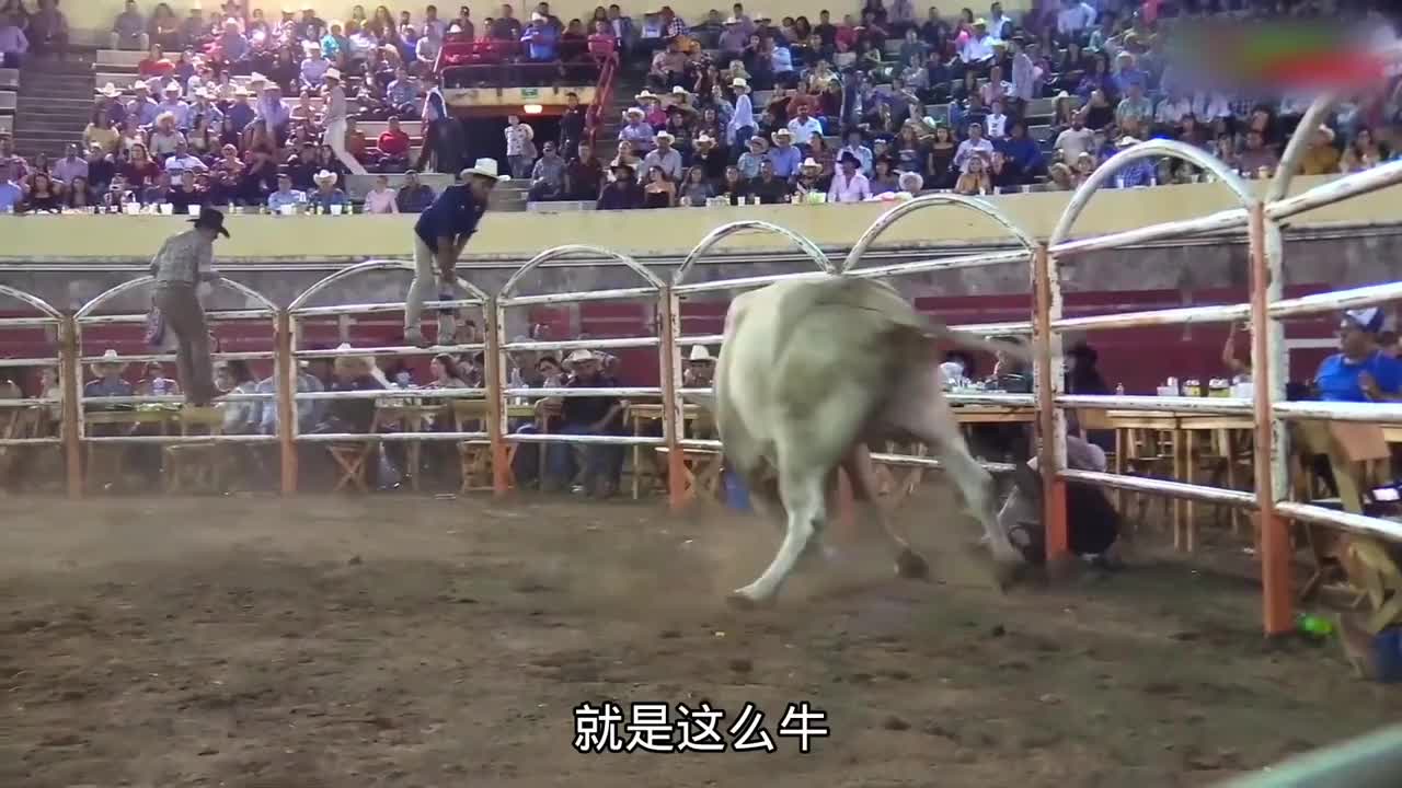 骑牛大赛冠军奖励十万美刀