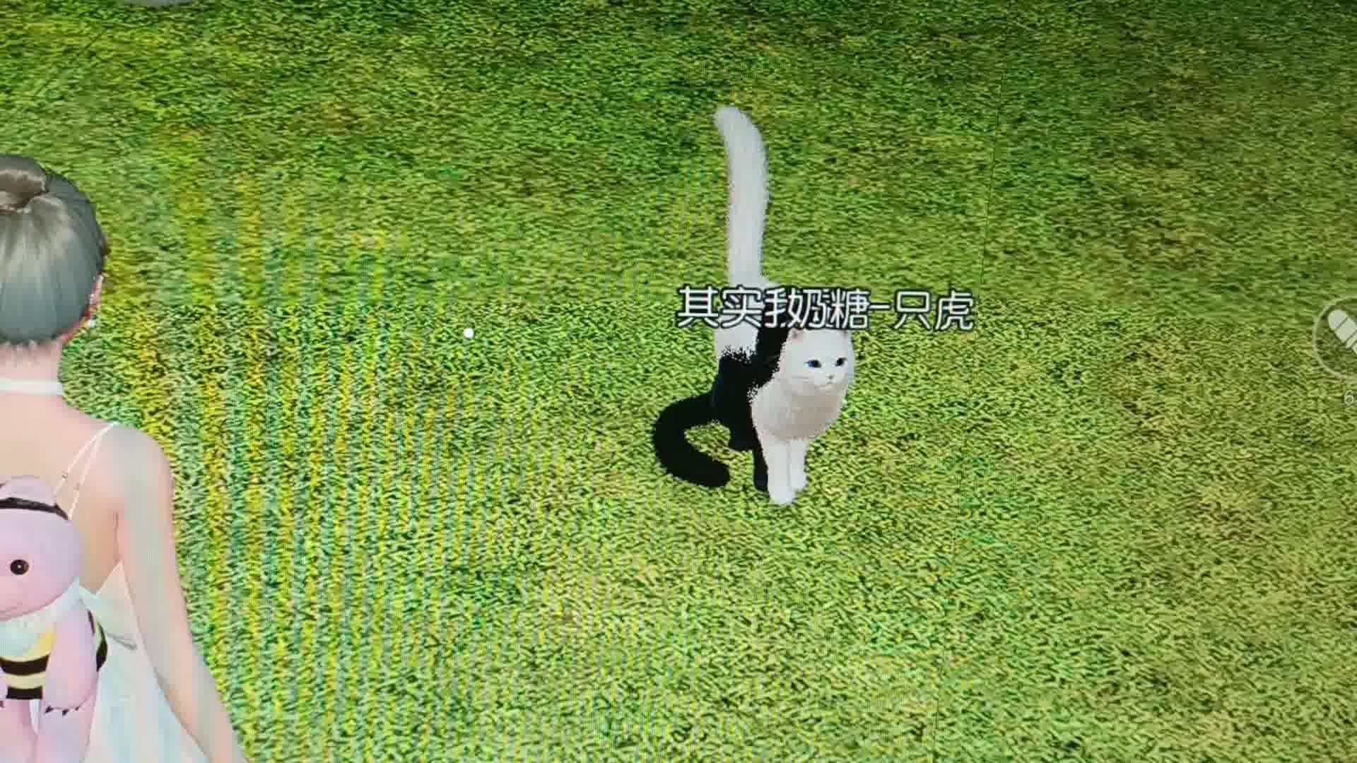 今天有点小问题，休息一天，大家自行打卡哟