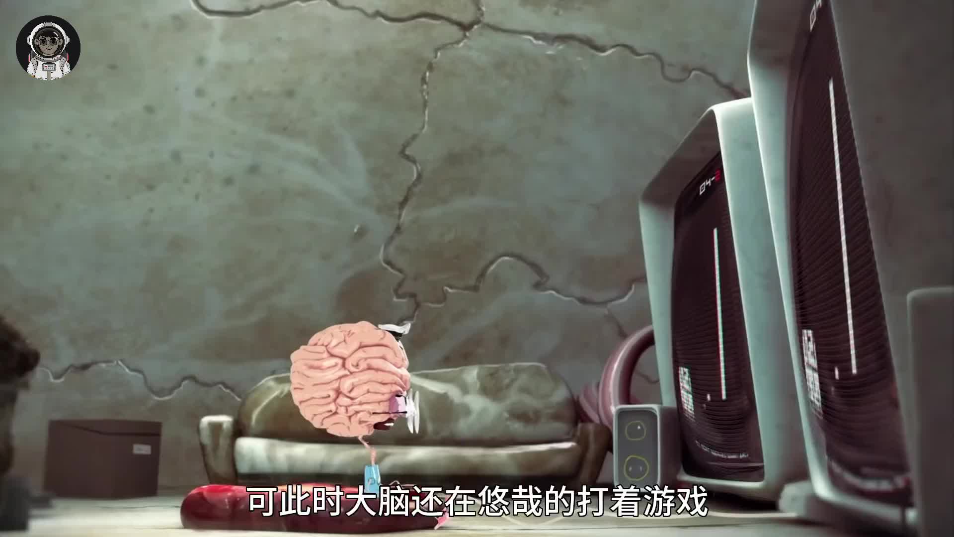 175. 当你熟睡后，你全身的器官都在为你做什么？