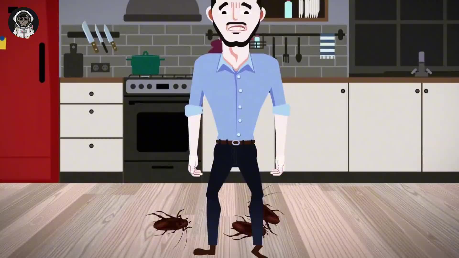 177. 蟑螂为什么会被称不死战神？