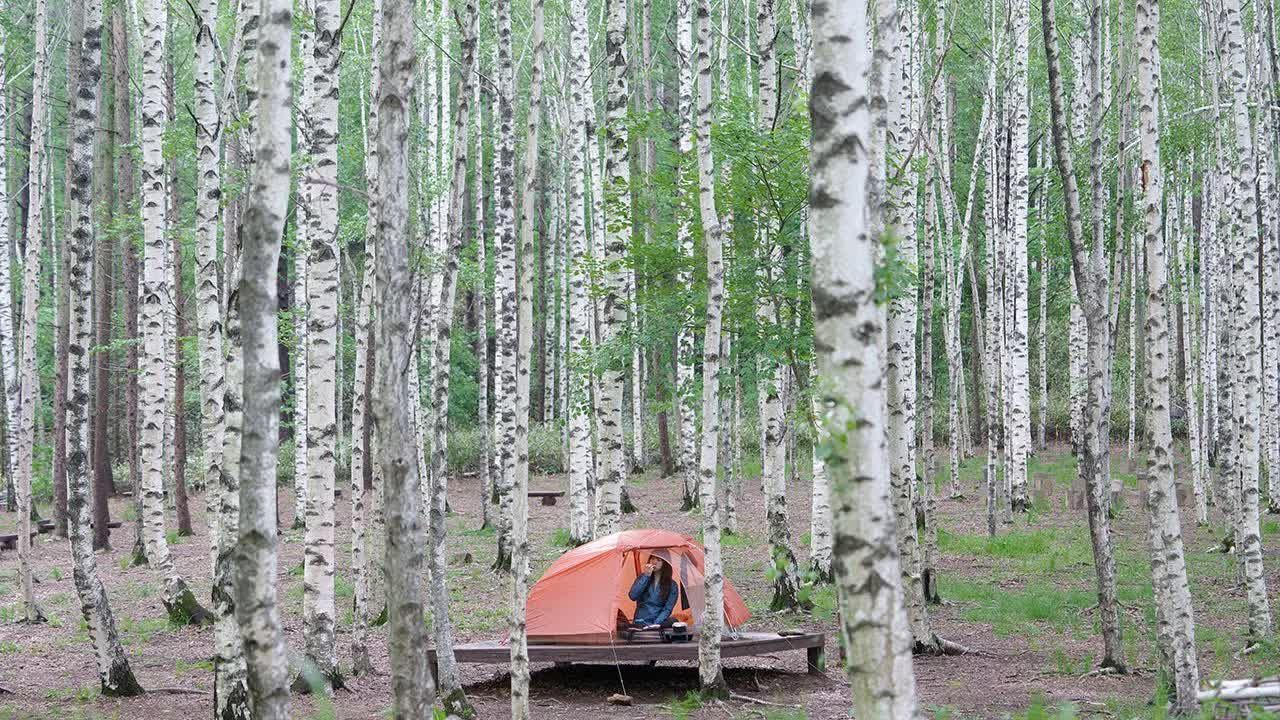 在多雨的桦树林里露营，没有雨衣，浑身又湿又冷。彻底搞砸了
