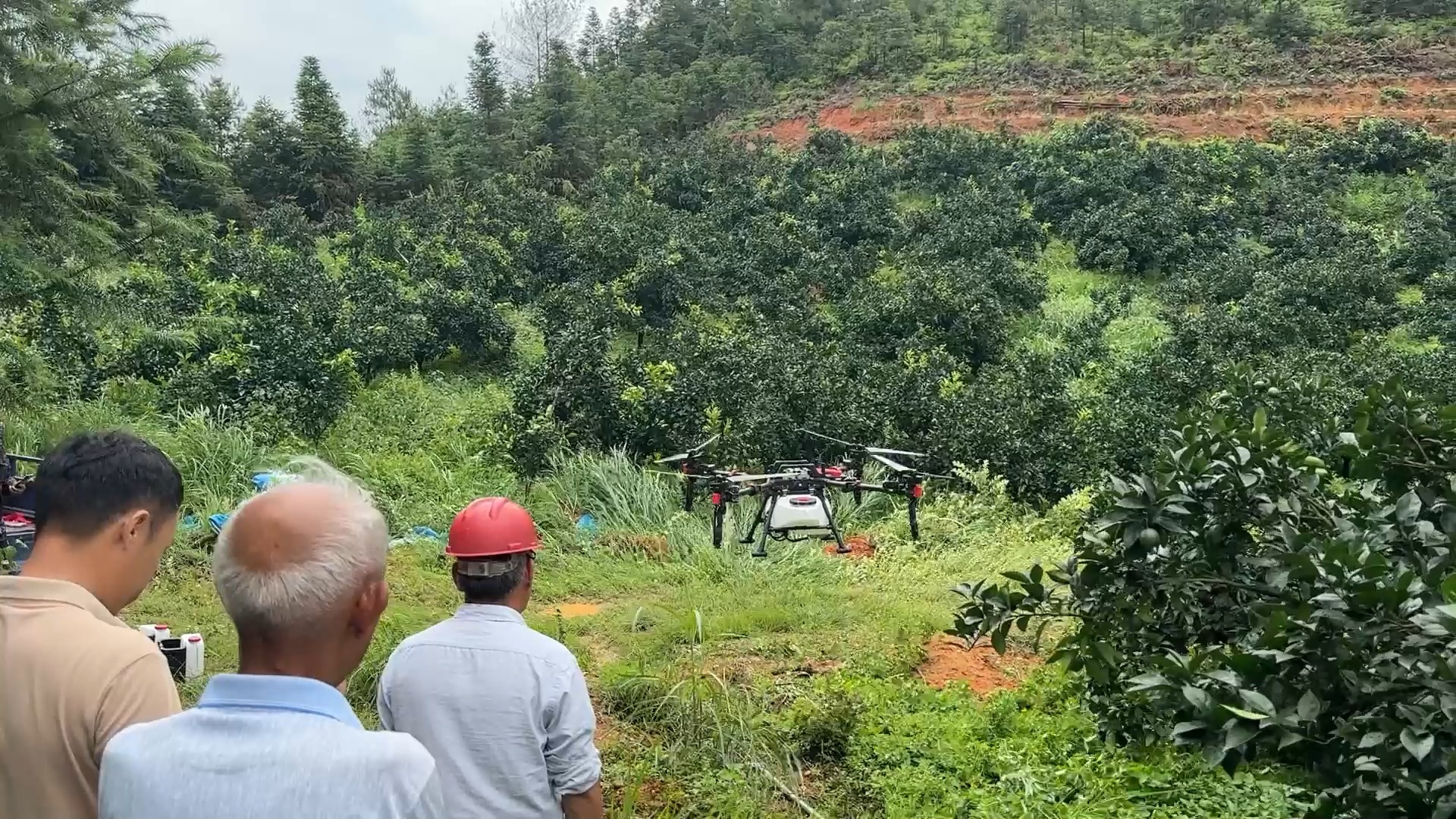 老乡花45000买来一台极飞P150，用它来打理果园，它比大疆香吗？