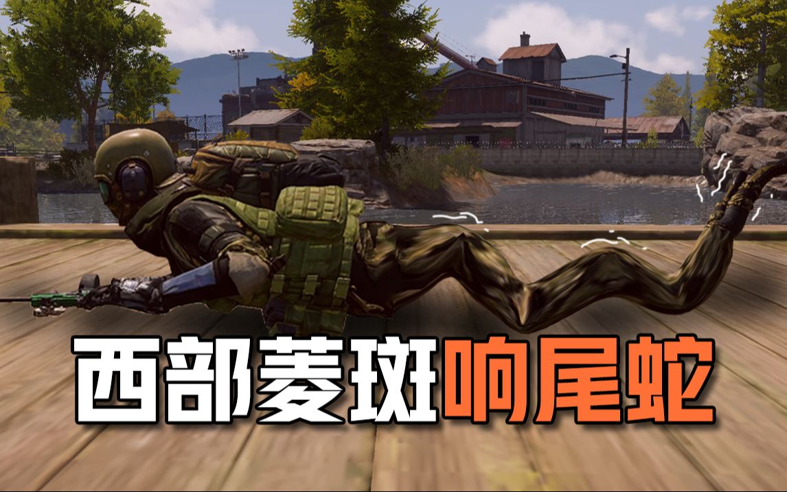 暗区风云榜之西部菱斑响尾蛇