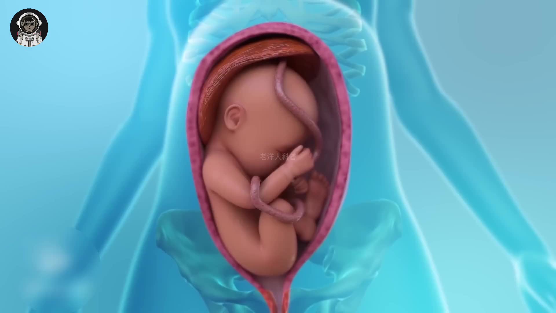 191. 剖腹产手术究竟有多可怕？带你了解剖腹产手术的全过程