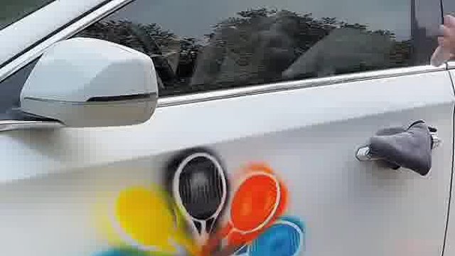 真有那么神奇吗？