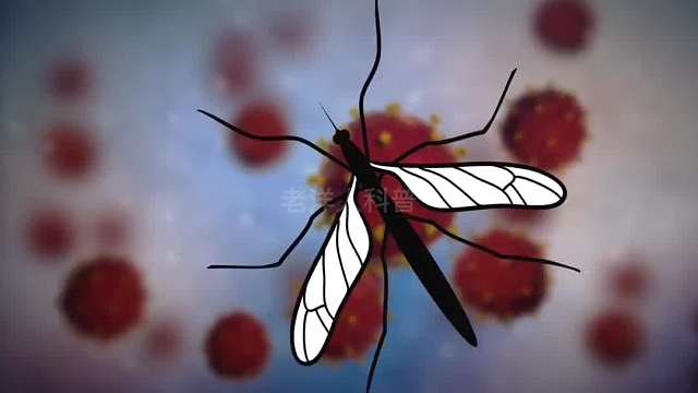 2. 如何消灭卫生间里的小飞虫？遇见了千万不能用手拍打。