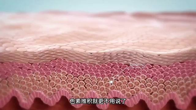 204. 护肤品抗老成分真的有效吗？