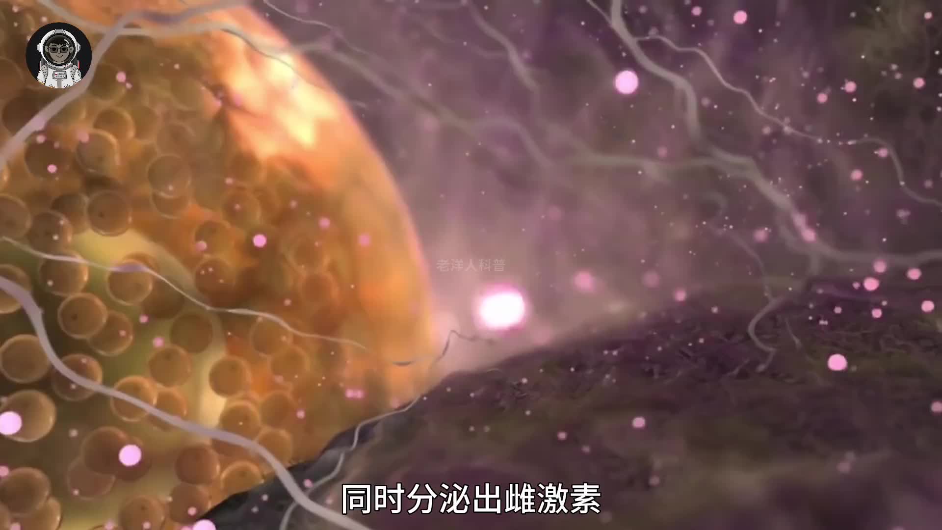 209. 你知道女性的大姨妈究竟是怎么来的吗？