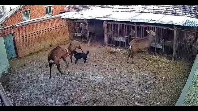 348. 没有你 其实我们挺和谐