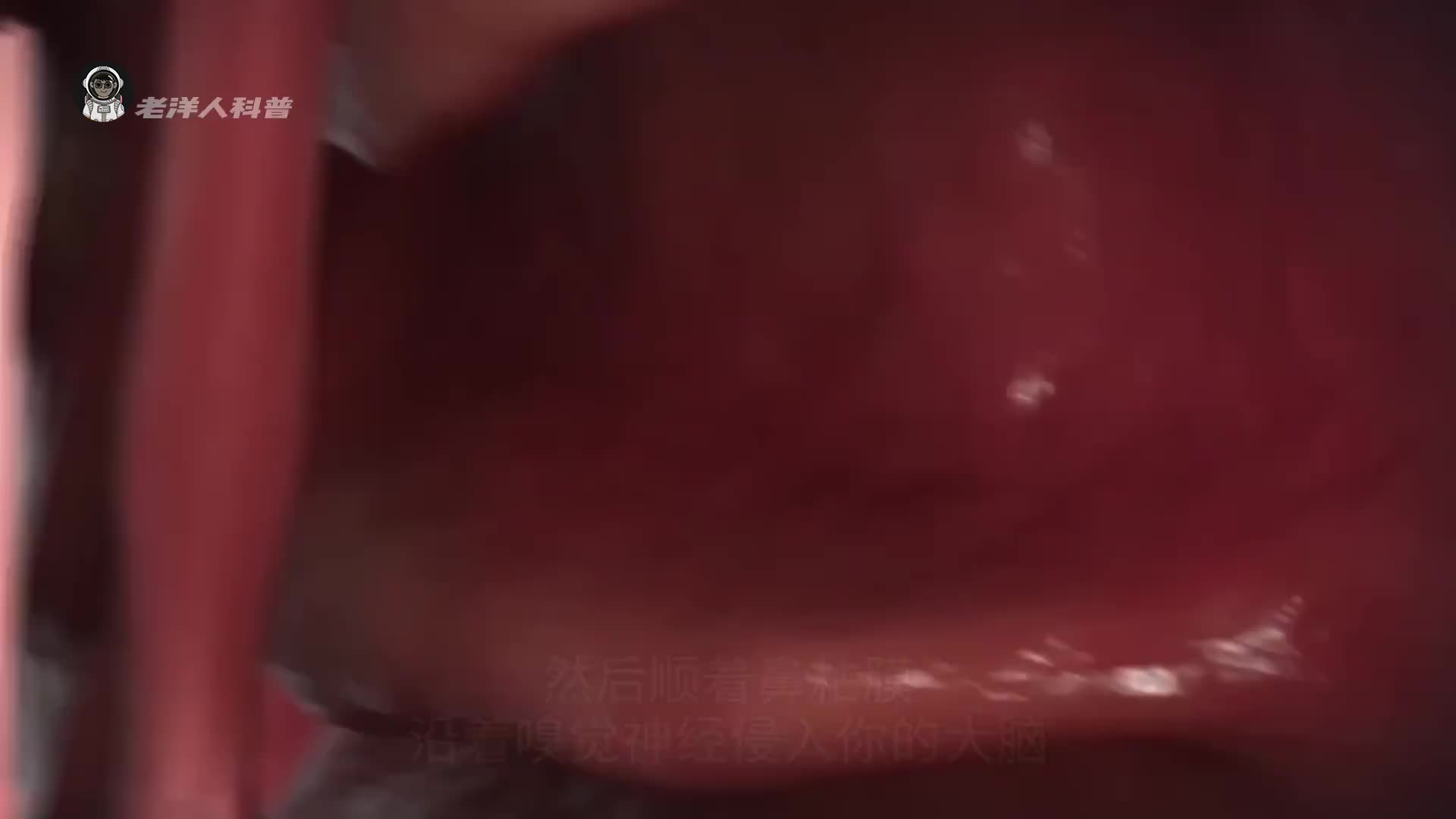 21. 如果你的身体被寄生虫感染会发生什么？