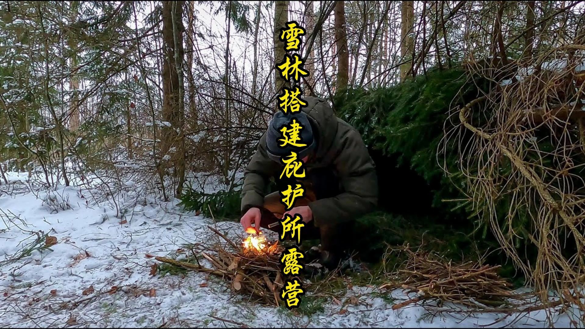 雪林搭建庇护所露营