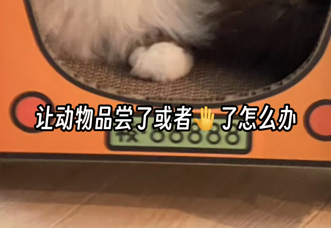 不小心让动物品尝了怎么办？