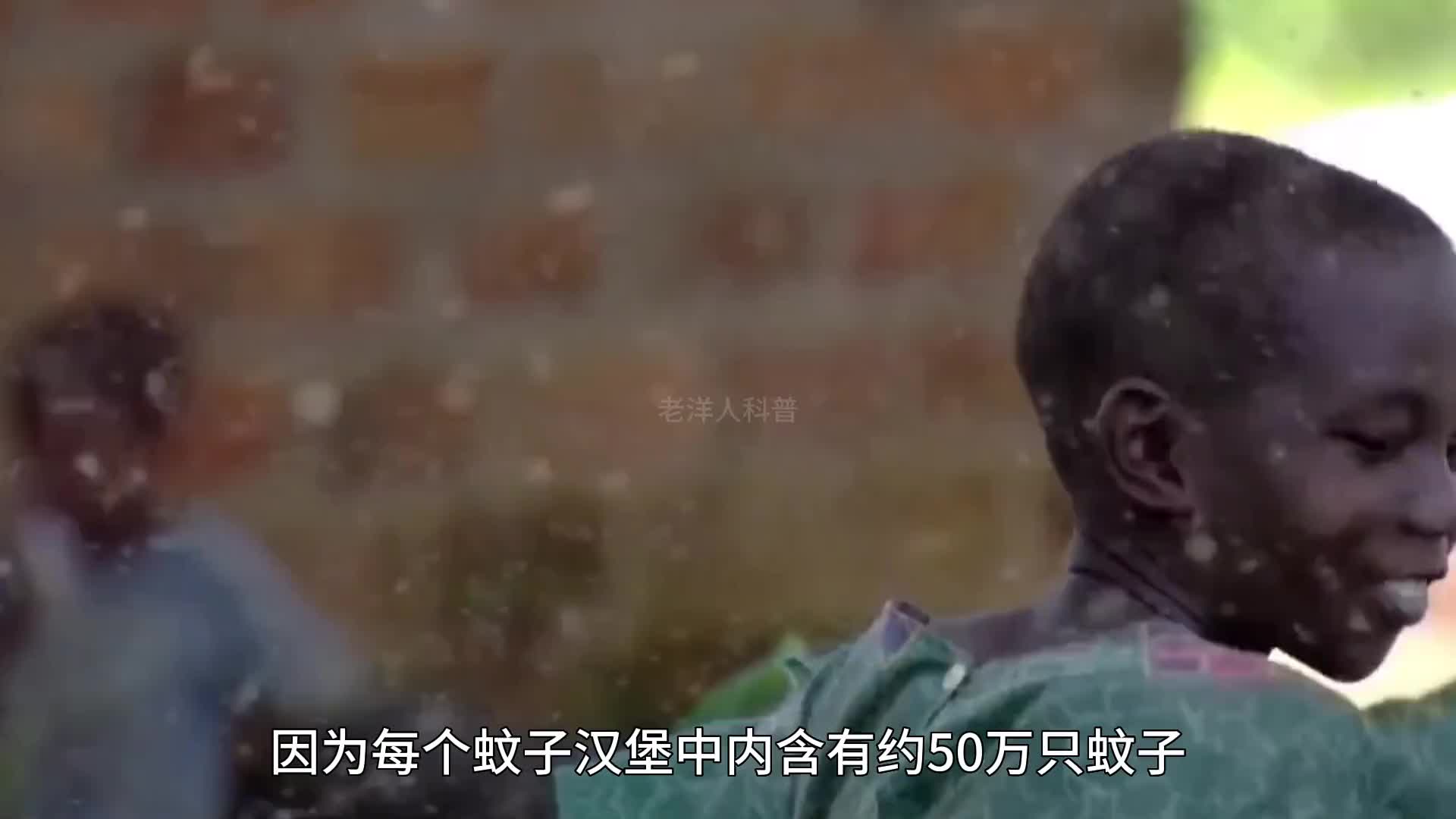 221. 用50万只蚊子做成的汉堡你敢吃吗？