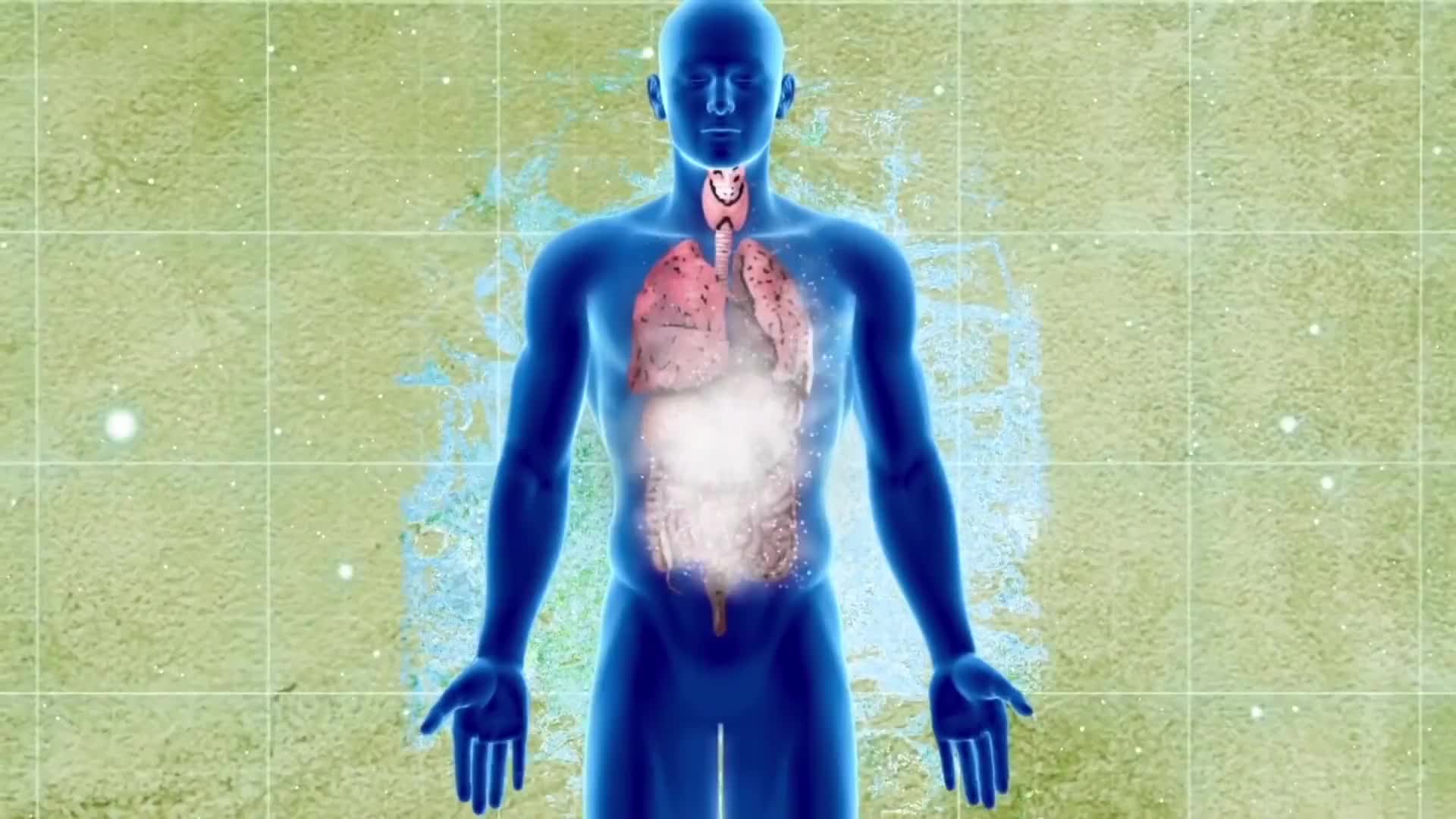 223. 如果死亡程度分等级，那么你认为最痛苦的是哪一种？