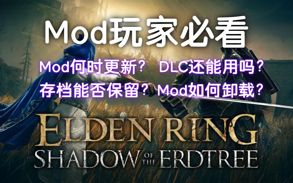 【艾尔登法环DLC】Mod玩家必看！！（无缝联机、诚实商人、法魂mod）