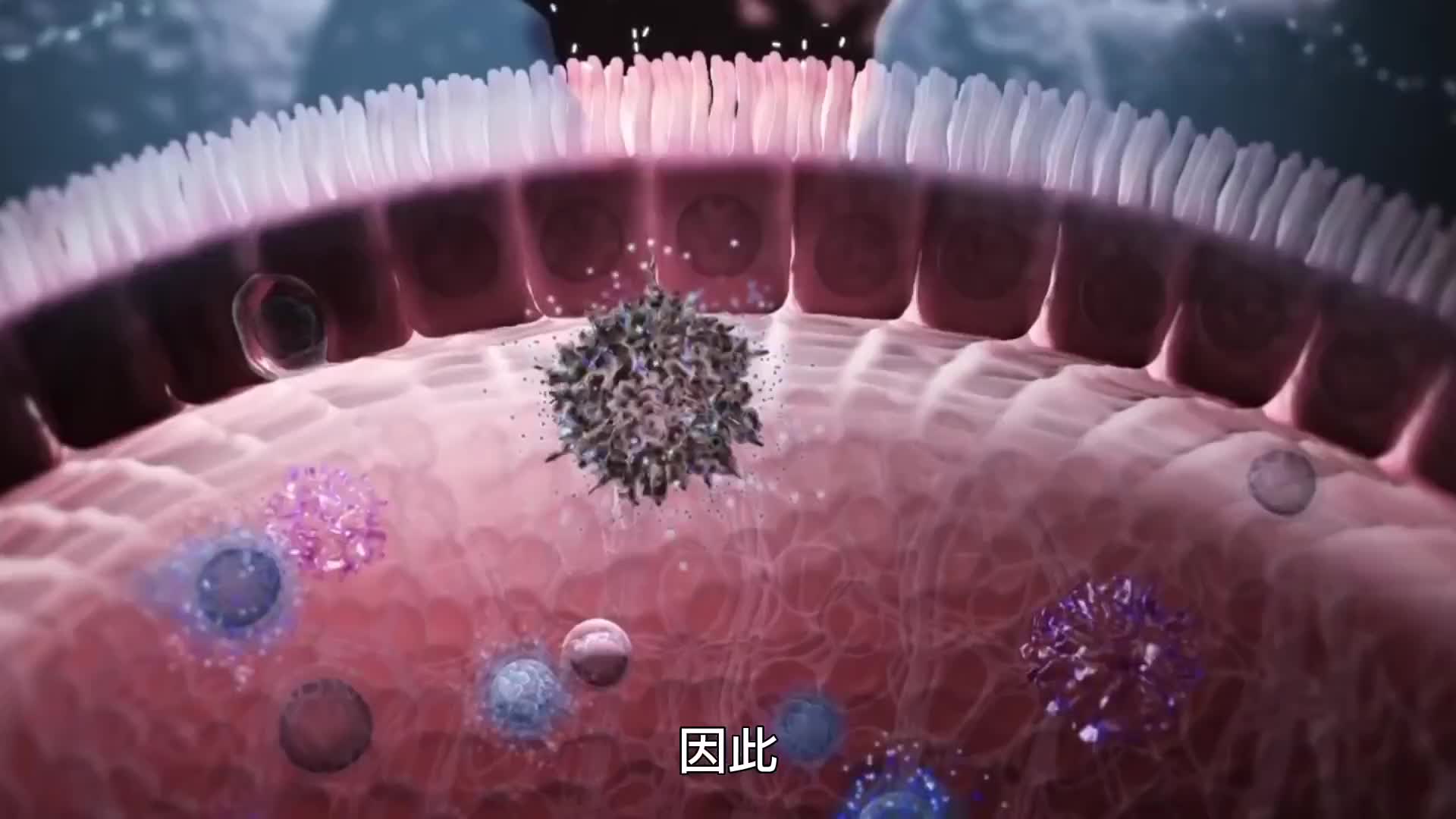 227. 怎样挑选一款适合国人肠道的益生菌？