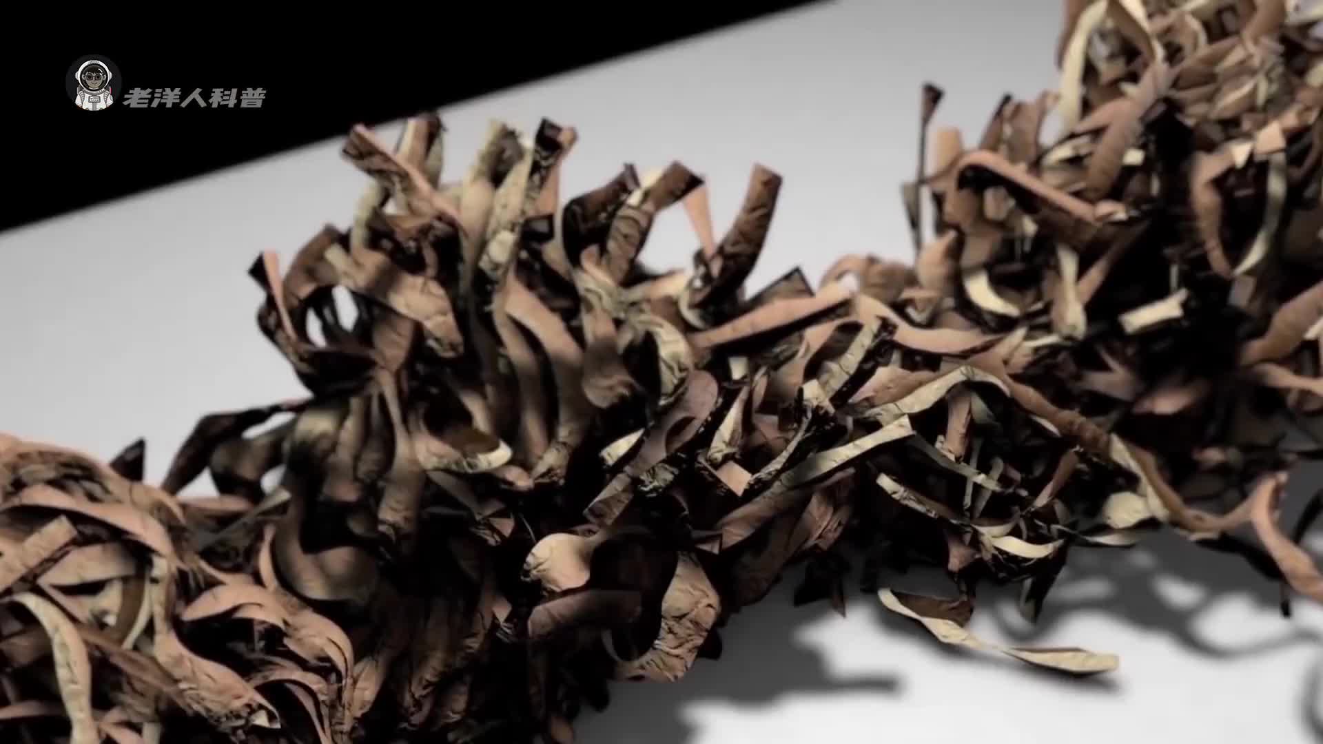 23. 当你点燃一根香烟时，它会在你体内发生哪些变化？