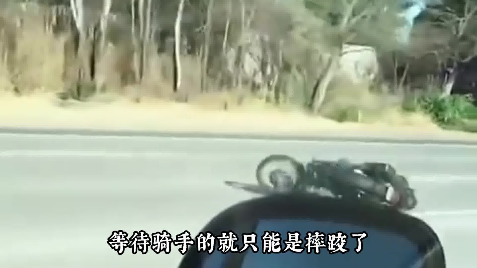 摩托车遇到死亡摇摆怎么办