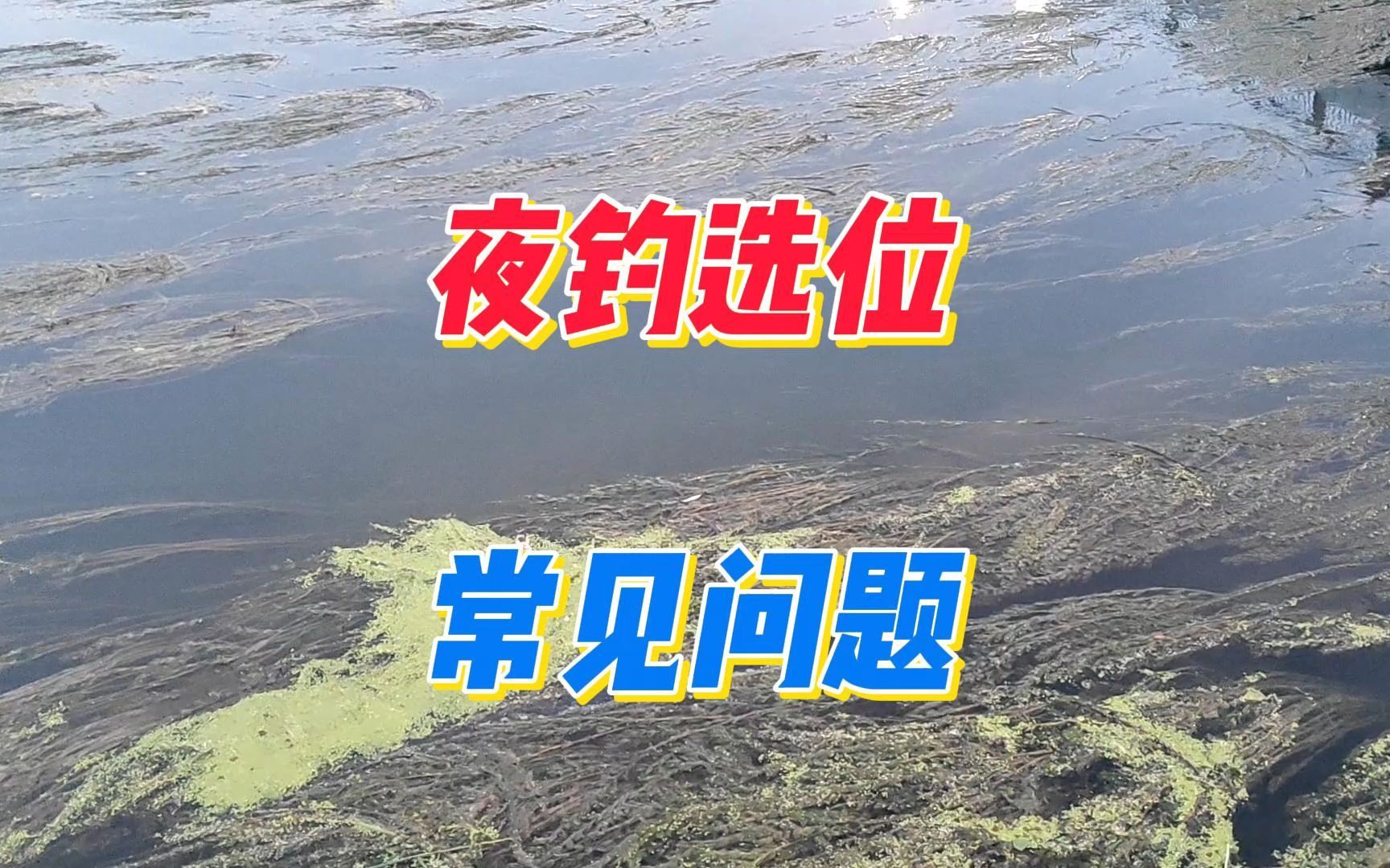 夏季夜钓选位太随意，鱼获比白天还少？这些个问题你注意了吗