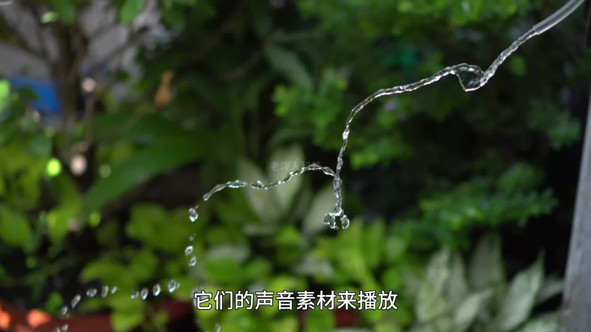 239. 你知道蚊子最害怕什么吗？教你几个对付蚊子的小妙招。