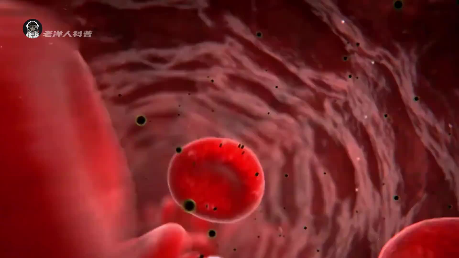 25. 蚊子在吸血的过程中，你的身体都经历了什么？