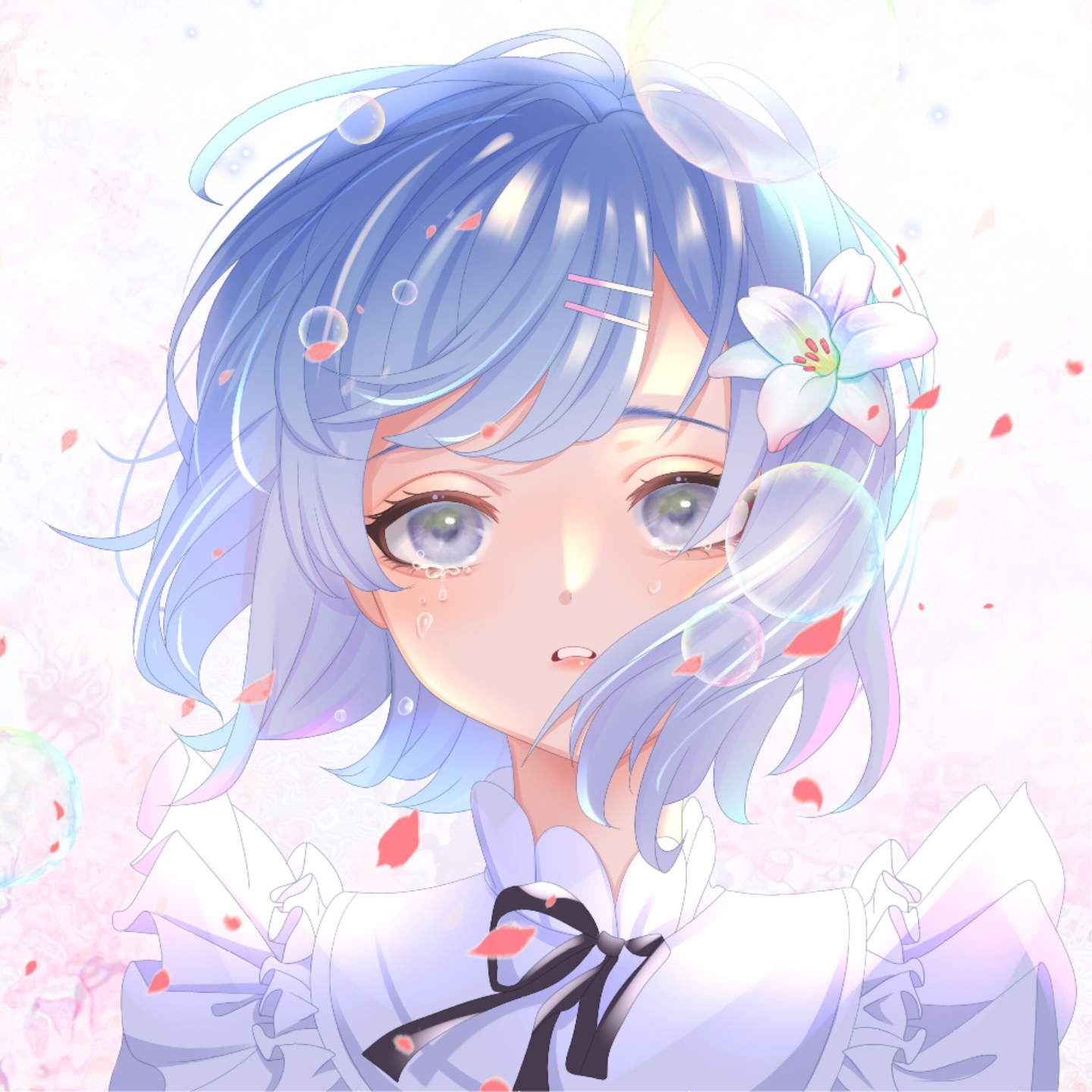 美丽的世界一共同好友