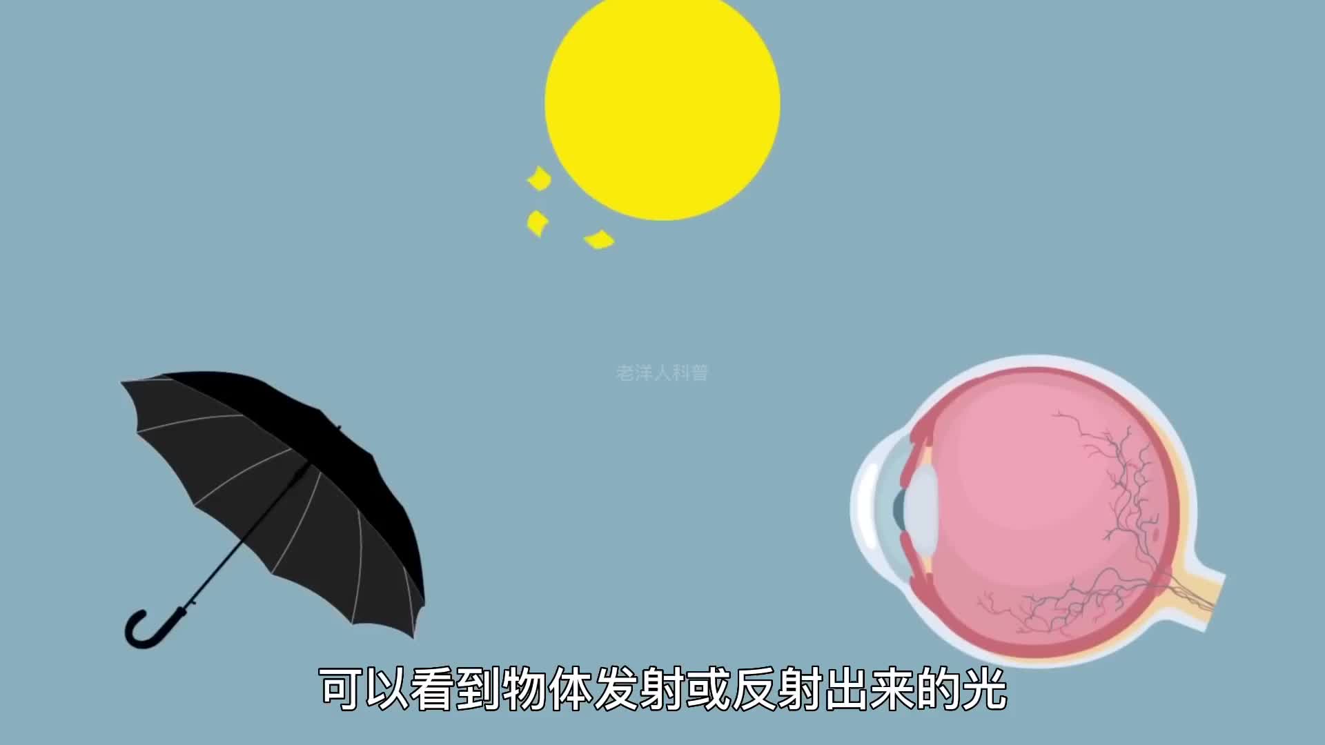 264. 你知道世界上最黑的物质到底有多黑吗？